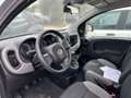 Fiat New Panda 1.0 FireFly Hybrid City Life Grigio - thumbnail 9