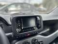 Fiat New Panda 1.0 FireFly Hybrid City Life Grigio - thumbnail 13