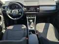 Skoda Kodiaq Clever 2.0 TDI DSG, MATRIX/360°VIEW/AHK/A Blanco - thumbnail 8
