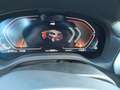 BMW X3 xDrive30d M-Sport AHK Shadow-Line, M-Sportbre Schwarz - thumbnail 9