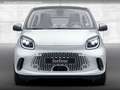 smart forFour EQ 60kWed pulse SHZ Faltdach PDC+Kamera Weiß - thumbnail 8