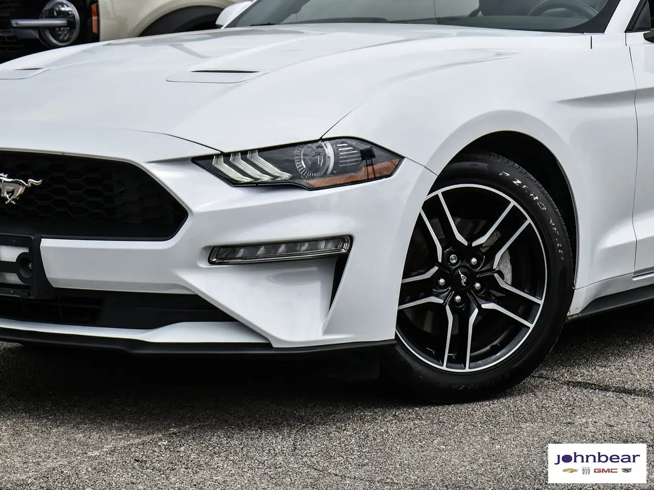 Ford Mustang fotografie Ford Mustang