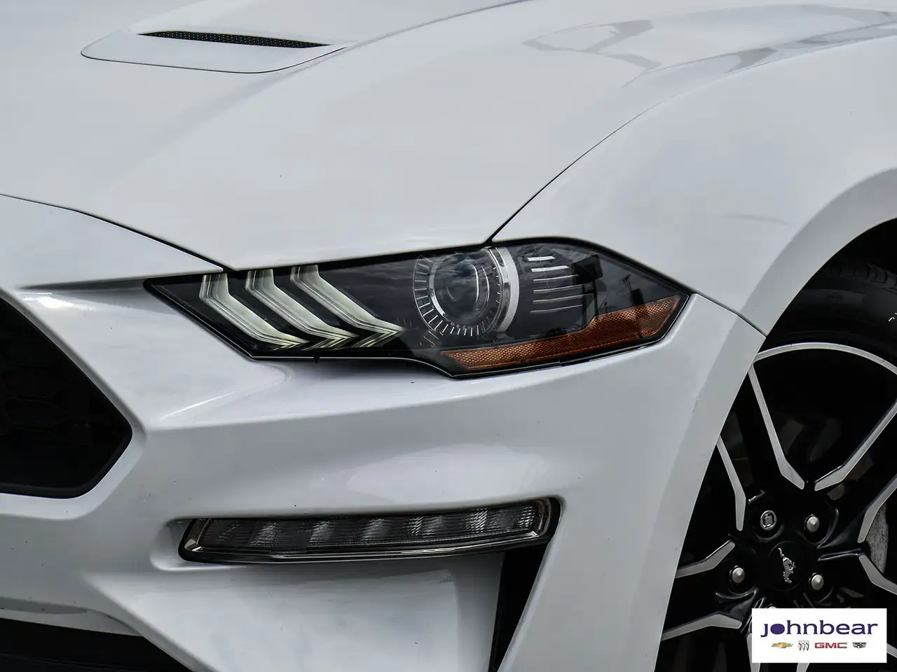 Ford Mustang fotografie Ford Mustang