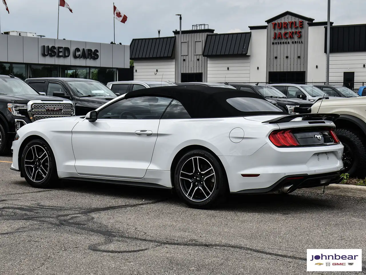 Ford Mustang fotografie Ford Mustang