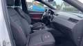 SEAT Ibiza V 1.0 TSI 110 FR Blanc - thumbnail 27