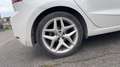 SEAT Ibiza V 1.0 TSI 110 FR Blanc - thumbnail 16