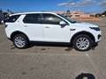 Land Rover Discovery Sport Discovery Sport I 2015 2.0 td4  Business awd 150cv Bianco - thumbnail 3