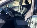 SEAT Ibiza 1.2 TDI CR 5 porte Business Bianco - thumbnail 9