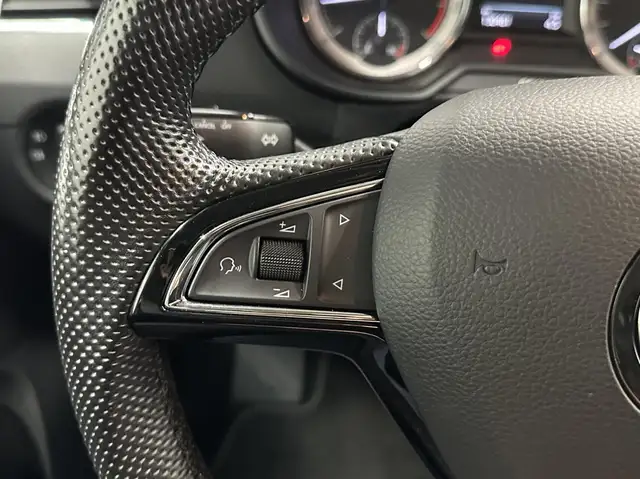 Skoda Octavia view 20