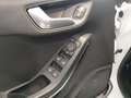 Ford Fiesta 1.0 EcoBoost MHEV ST Line 125 Blanco - thumbnail 21