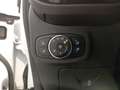 Ford Fiesta 1.0 EcoBoost MHEV ST Line 125 Blanco - thumbnail 20