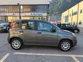 Fiat Panda 1.0 Firefly Hybrid S&S 70cv Gris - thumbnail 5