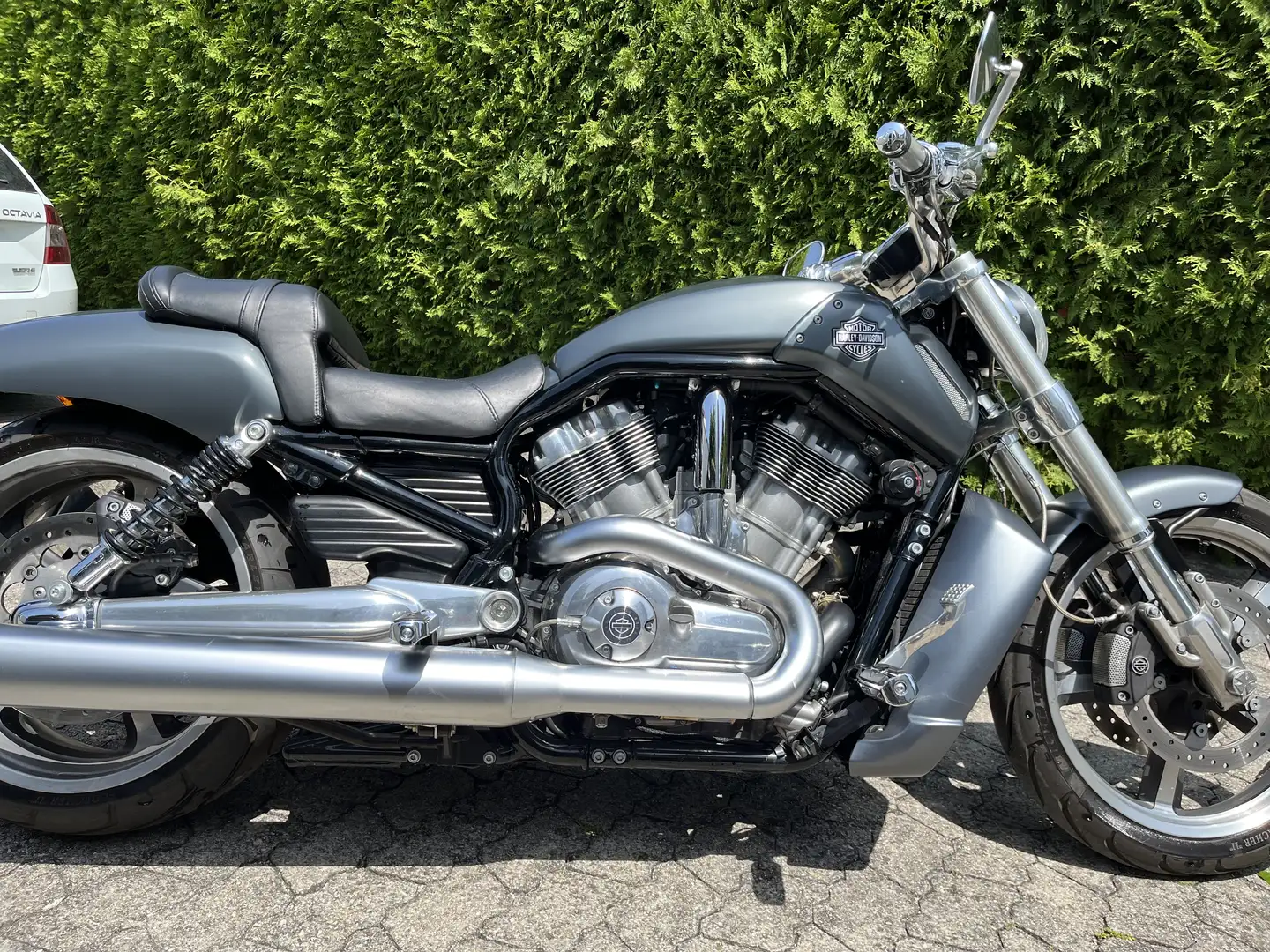 Harley-Davidson VRSC V-Rod Muscle Plateado - 2