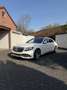 Maybach Sonstige S650 Weiß - thumbnail 14