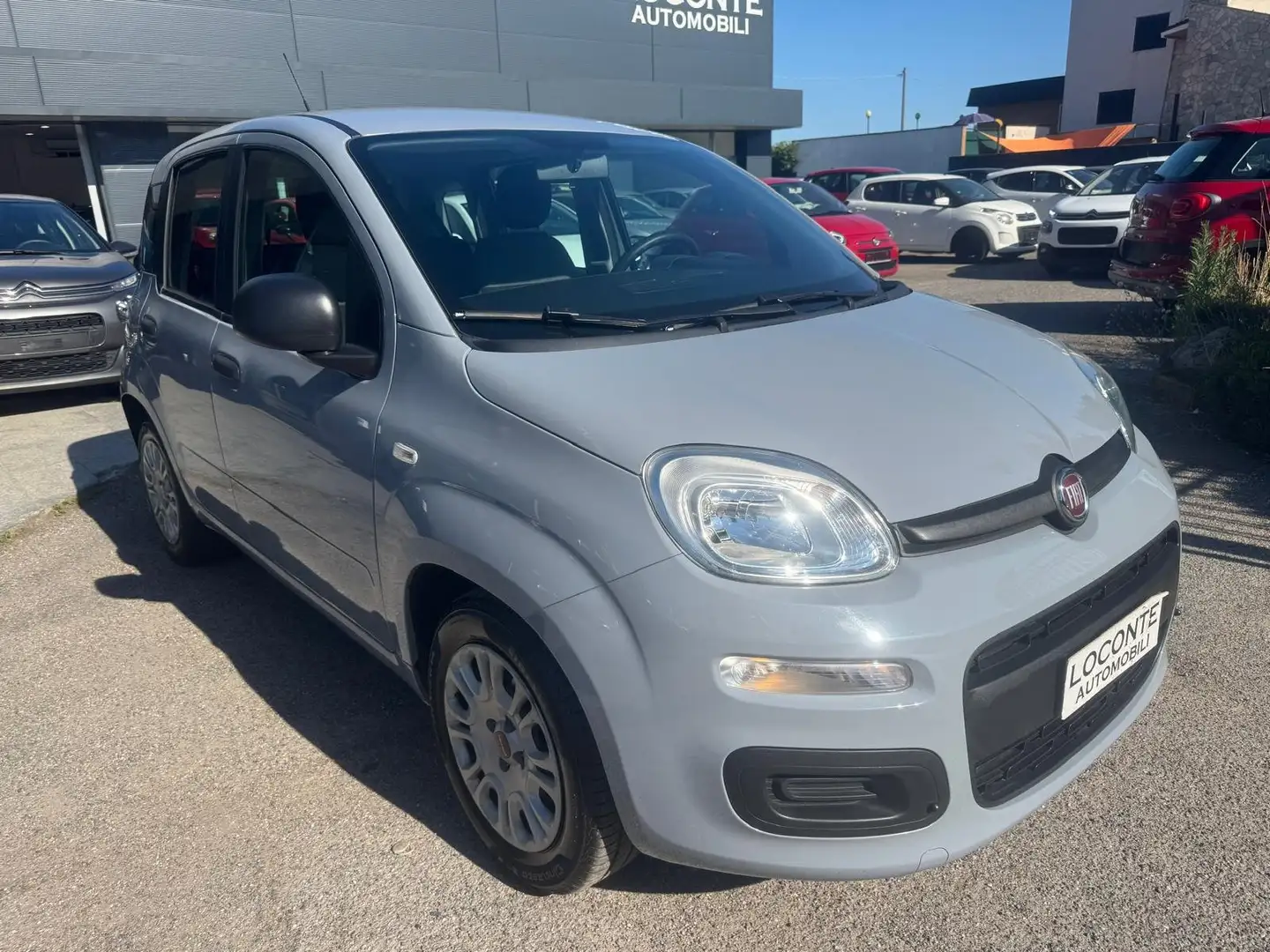 Fiat Panda 1.0 firefly hybrid s Grigio - 1