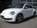Volkswagen Beetle 1.4 DesignLEDER-FENDER-NAVI-STANDHEIZUNG Blanc - thumbnail 1