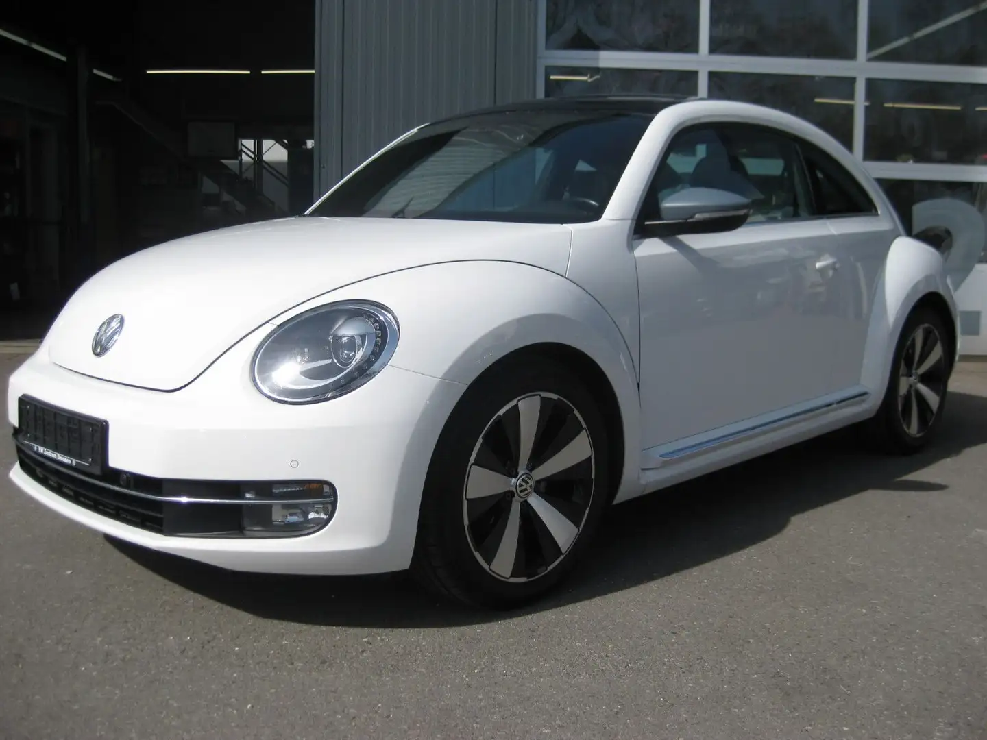 Volkswagen Beetle 1.4 DesignLEDER-FENDER-NAVI-STANDHEIZUNG White - 1