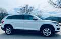 Skoda Kodiaq sehr gepflegter Skoda Kodiaq 4x4 Style, 150PS, AHK, Memorysitze, 8-fach bereift Weiß - thumbnail 2