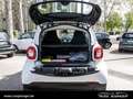 smart forTwo EQ  *Klima*Alu*22kW*Sitzheizung*USB*ZV* Alb - thumbnail 7