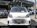 smart forTwo EQ  *Klima*Alu*22kW*Sitzheizung*USB*ZV* Alb - thumbnail 8
