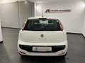 Fiat Punto Evo Punto Evo 5p 1.4 Dynamic Wit - thumbnail 3