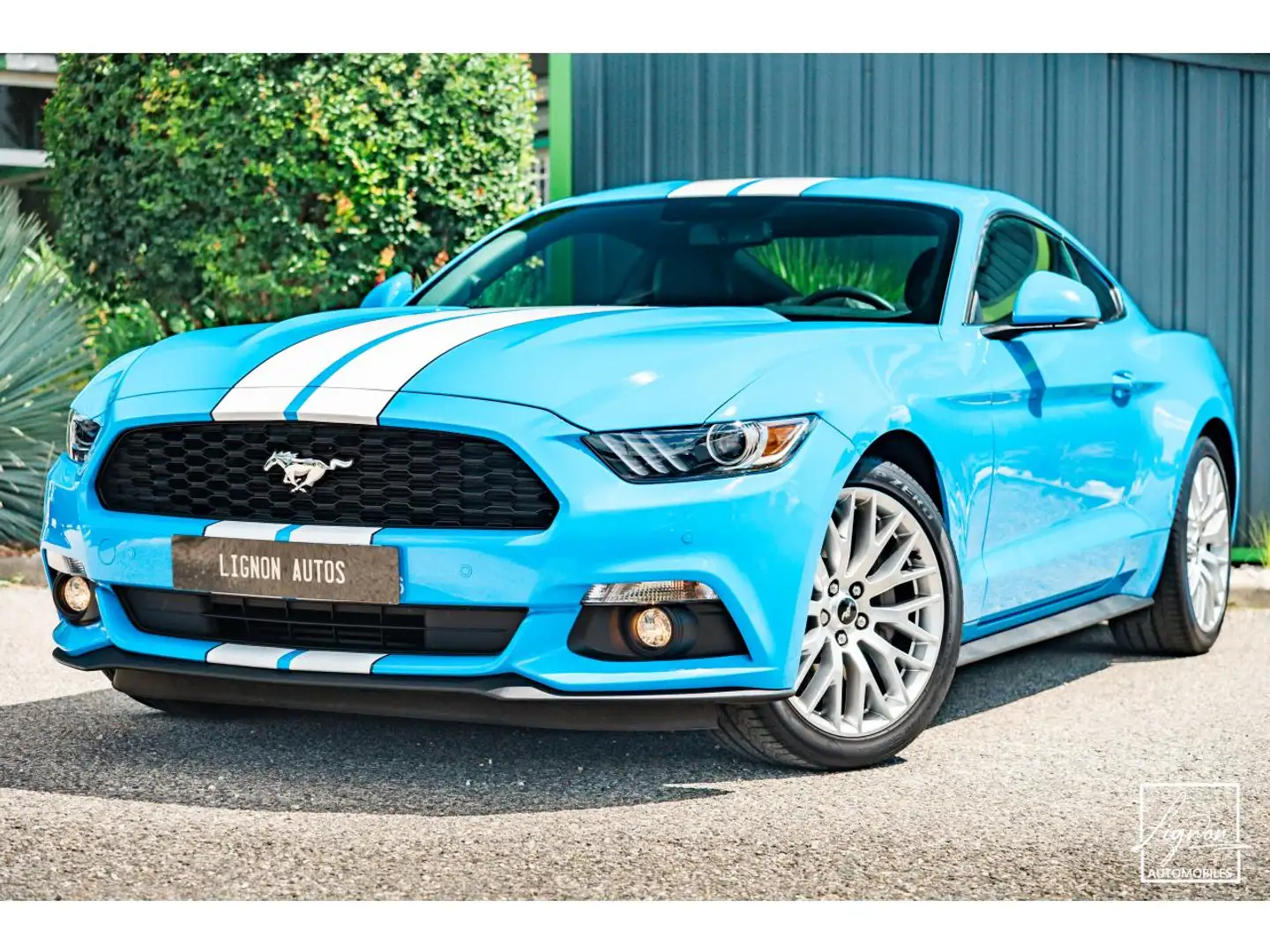 Ford Mustang Ford Mustang 2.3 Fastback Ecoboost 317ch BVM6 Bleu - 1