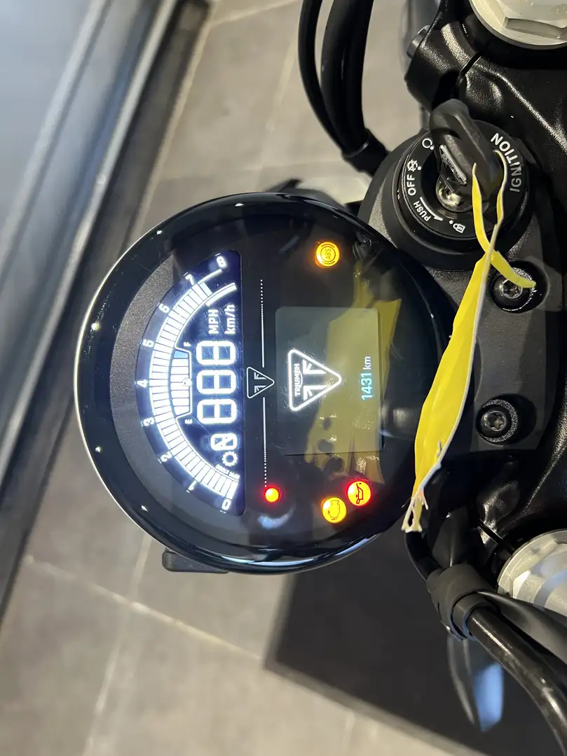 Triumph Speed Twin Blanc - 2