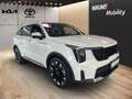 Kia Sorento 2.2 CRDi Platinum, Premium-P., Glasdach, Nappa, AH Wit - thumbnail 3