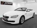 BMW 640 d Cabrio Aut. | SEHR GUTE AUSSTATTUNG | Weiß - thumbnail 1
