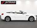 BMW 640 d Cabrio Aut. | SEHR GUTE AUSSTATTUNG | Weiß - thumbnail 5