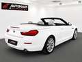 BMW 640 d Cabrio Aut. | SEHR GUTE AUSSTATTUNG | Weiß - thumbnail 6