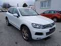 Volkswagen Touareg V8 TDI 4Motion Aut. **ACC/Panorama/Leder/Xenon/... Weiß - thumbnail 2