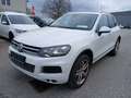 Volkswagen Touareg V8 TDI 4Motion Aut. **ACC/Panorama/Leder/Xenon/... Weiß - thumbnail 1