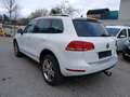 Volkswagen Touareg V8 TDI 4Motion Aut. **ACC/Panorama/Leder/Xenon/... Weiß - thumbnail 3