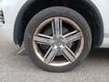 Volkswagen Touareg V8 TDI 4Motion Aut. **ACC/Panorama/Leder/Xenon/... Weiß - thumbnail 5