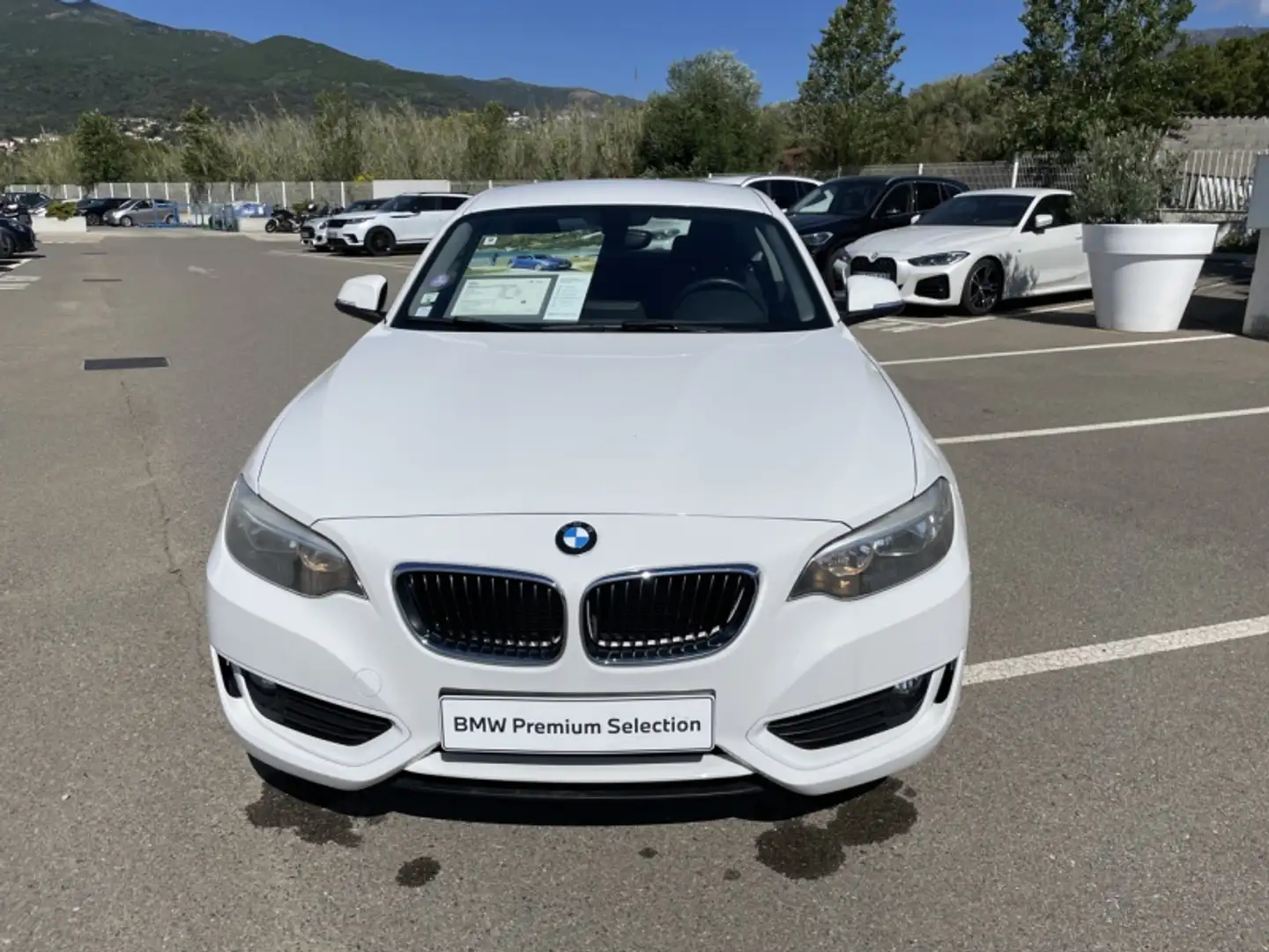 BMW 220 220iA 184ch Lounge Blanc - 2