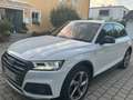 Audi Q5 Q5 40 TDI quattro S tronic design Weiß - thumbnail 3