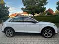 Audi Q5 Q5 40 TDI quattro S tronic design Weiß - thumbnail 4
