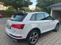 Audi Q5 Q5 40 TDI quattro S tronic design Weiß - thumbnail 5
