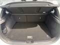 Kia Ceed / cee'd Spirit 1.5 Navi/Kamera/Sitzheizung/CarPlay Weiß - thumbnail 13
