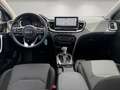Kia Ceed / cee'd Spirit 1.5 Navi/Kamera/Sitzheizung/CarPlay Weiß - thumbnail 12