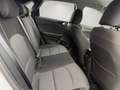 Kia Ceed / cee'd Spirit 1.5 Navi/Kamera/Sitzheizung/CarPlay Weiß - thumbnail 14