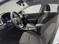 Kia Ceed / cee'd Spirit 1.5 Navi/Kamera/Sitzheizung/CarPlay Weiß - thumbnail 8