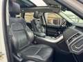 Land Rover Range Rover Sport RANGE ROVER SPORT 3.0 TDV6 306 FULL TETTO IVA ESPO Bianco - thumbnail 13
