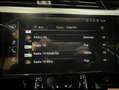 Audi e-tron e-tron 55 quattro 95 kWh 360 PK Zwart - thumbnail 20