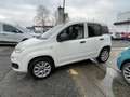 Fiat Panda 0.9 t.air t. natural power Easy 80cv my19 Weiß - thumbnail 6