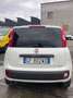 Fiat Panda 0.9 t.air t. natural power Easy 80cv my19 Weiß - thumbnail 4