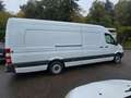 Mercedes-Benz Sprinter Maxi 316 L4H2.Extralang Weiß - thumbnail 11