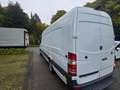 Mercedes-Benz Sprinter Maxi 316 L4H2.Extralang Weiß - thumbnail 4