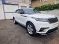 Land Rover Range Rover Velar Basis Weiß - thumbnail 14